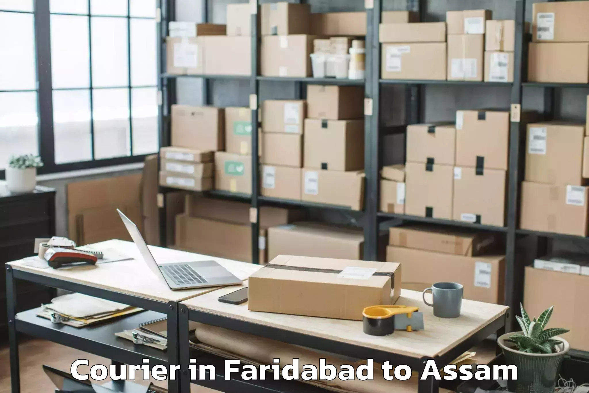 Faridabad to Bajali Pt Courier